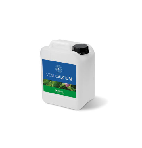 Veni Calcium 5ltr (can)