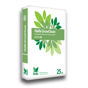 Haifa Growclean NPK 5-31-40 25kg (zak)